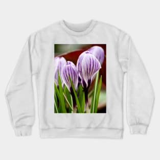 Blue white stripes crocus Crewneck Sweatshirt